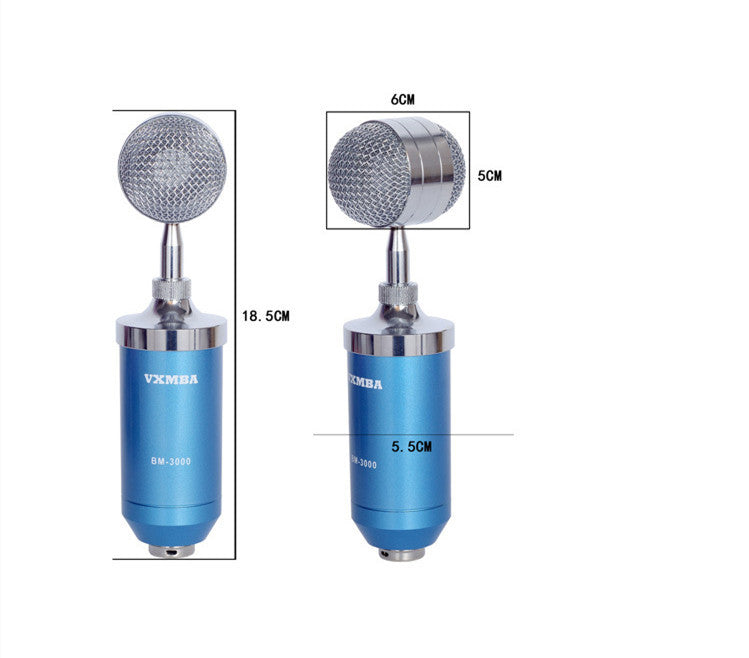 Direct manufacturers condenser mic Anne condenser