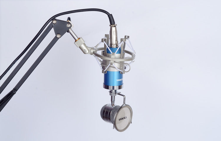 Direct manufacturers condenser mic Anne condenser