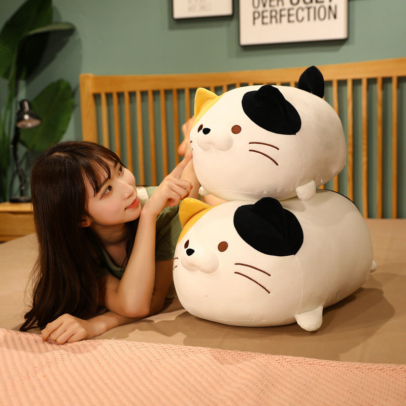 Japanese Dumpling Cat Plush Toy Doll Cute Fat Fat House Cat Big Pillow Bed Hug Doll Wholesale